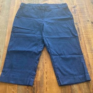 Cropped navy casual pants.